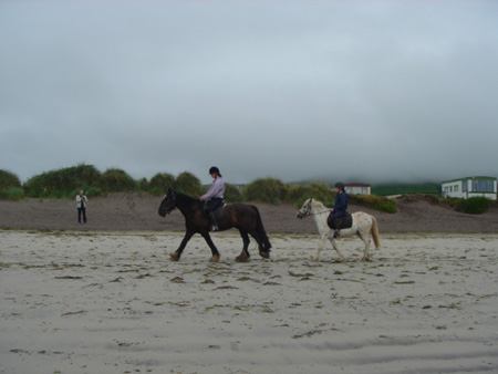 DSC00420