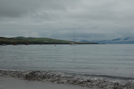 DSC_0249
