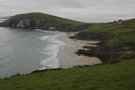 DSC_0297